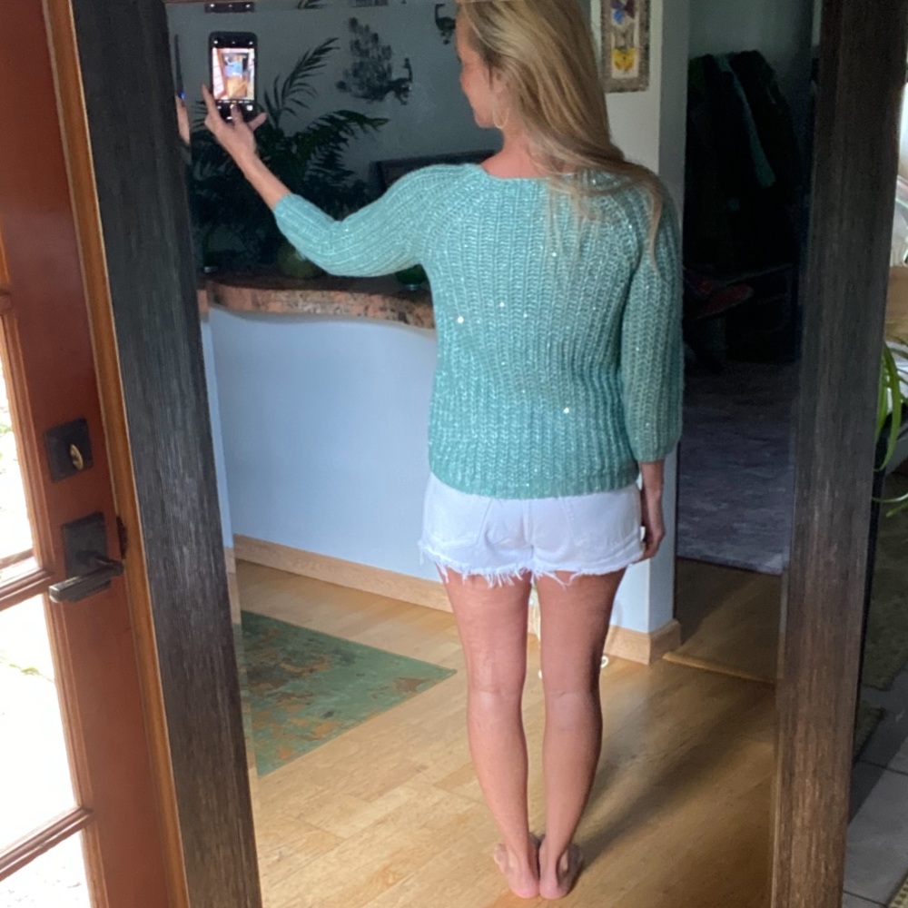 Anthropologie Seafoam Knit Sparkle Sweater - Picture 16 of 16